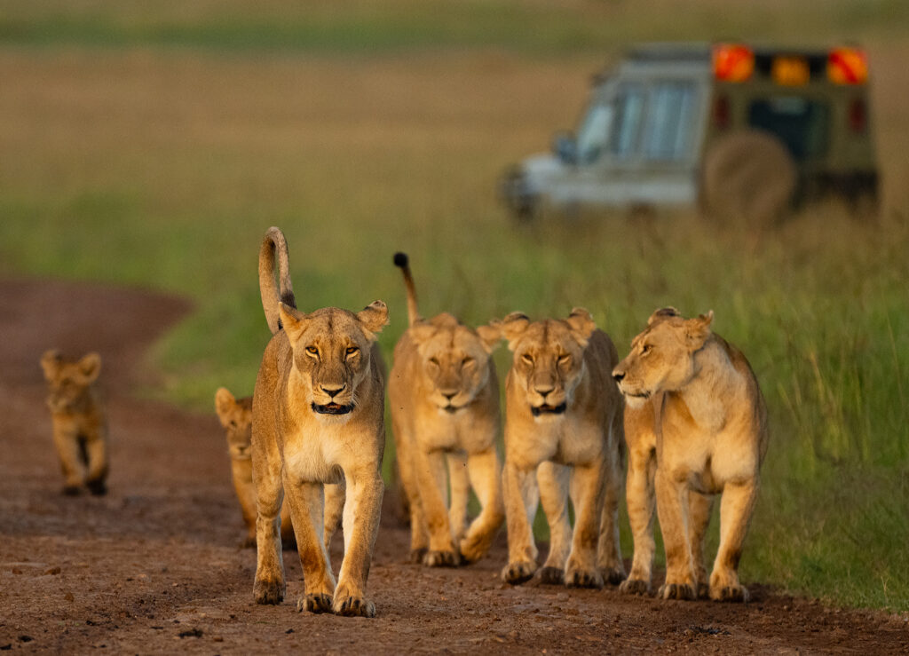 DSC 5591 e1773837682333